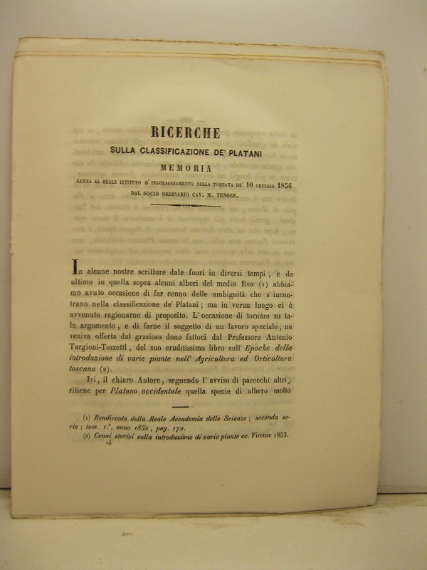 Ricerche sulla classificazione de' platani. Memoria letta al Reale Istituto d'incoraggiamento...